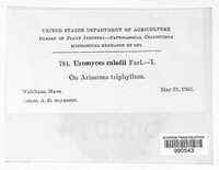 Image Associated With the Occurence